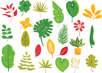 Collection of tropical leaves and flowers. Exotic foliage and blooming flora. Botanical diversity and nature vector illustration.