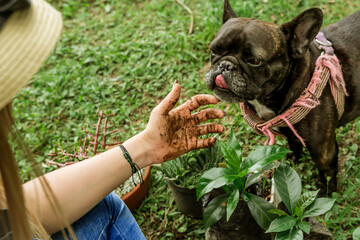 latina woman with her dog planting in beautiful garden 