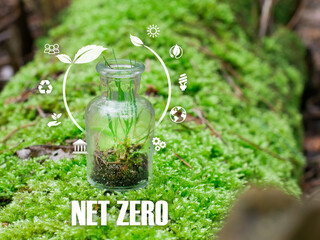 Net zero , carbon neutral concept. Net zero greenhouse gas emissions target. Climate neutral long...