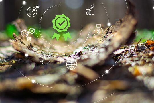 Assessment for the certificate concept. Green technologies concept. Net zero concept, CO2 reduce.Long term strategy 2050