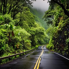 Fototapeta premium Road to Hana: Maui, Hawaii This scenic highway is so packed with canyons, beaches, waterfalls and other natural attractions that you'll need to devote a day to driving its length to do it justice.