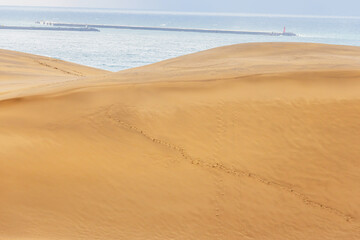 Fototapeta na wymiar 砂丘　　sand dunes, vast dune hills　
