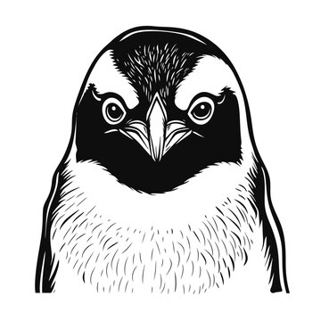 recommend clip art: Penguin Line Art Illustration