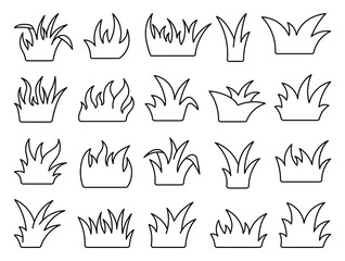 Fototapeta na wymiar Lawn grass. Coloring Page. Flora, garden plant. Hand drawn style. Vector drawing. Collection of design elements.