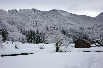 日本の白川郷の冬の風景