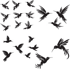 Set of Humming bird black silhouette