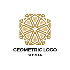 Geometric ornament logo