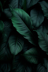 Close-up of Beautiful Dark Green Tropical Leaf Texture, Natural Background. Generative AI