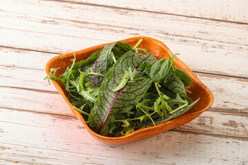 Green mix salad in the bowl