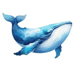Blue whale Watercolor clip art