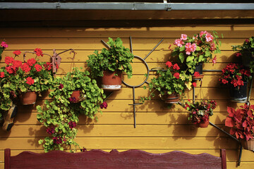Fototapeta na wymiar house decorated with flowerpots