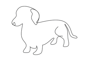 Cute dachshund dog continuous single line drawing. Vector illustration. Pro vector