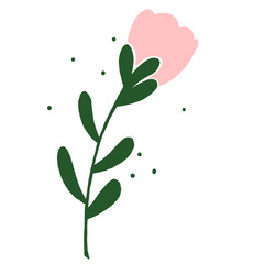 Botanical Harmony in Abstract Floral Elegance with Butterflies and Lush Foliage