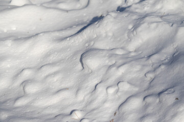 A background of white snow.
