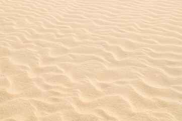 砂像制作に使われる芦屋海岸の砂