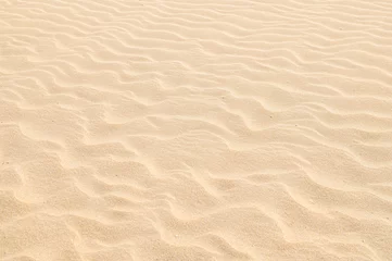 Fotobehang 砂像制作に使われる芦屋海岸の砂 © Kinapi