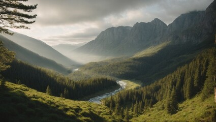 Montañas verdes, bosque, niebla y rio