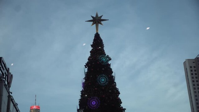 Christmas tree in city, New year festival.