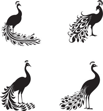 Set of Peacock black silhouette 