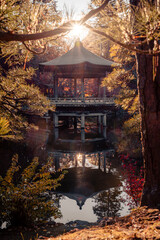 成田山公園の浮御堂と紅葉