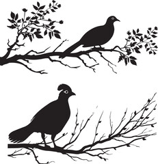 Quail on branch black silhouette on white background 