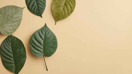 Leaf background in Aesthetic minimalism style. Soft pastel, neutral colors and beige elements for social media.