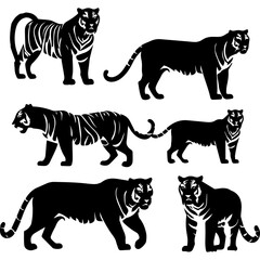 vector set of tiger