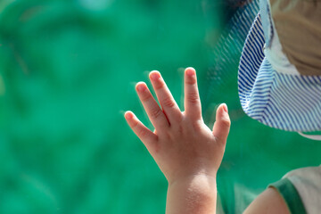 The hand of a child on the glass of a window isolated on a green background