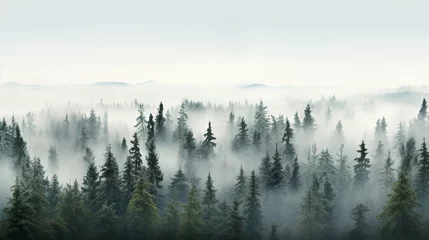 Papier Peint photo Lavable Forêt dans le brouillard fog in the mountains