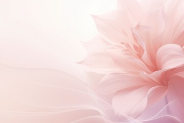 Spring flower abstract pastel pink banner with frame of tender pink flower blossom patterns symbolized beauty, femininity mockup, may, colorful mother's day transparent background with copy space