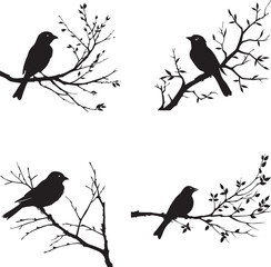 Set of Sparrow bird on branch black silhouette on white background