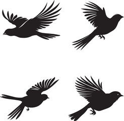 Set of Sparrow bird flying black silhouette on white background