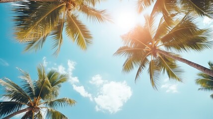 Palm trees on tropical beach, coconut trees. Tropical trees with sunlight in the sky, sunset and...