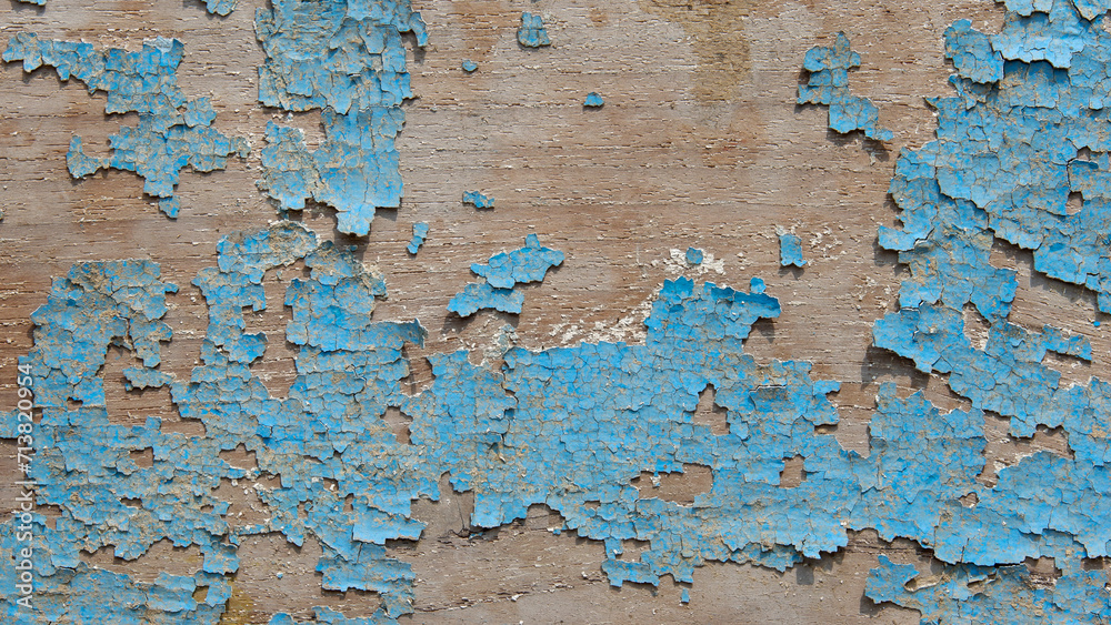 Wall mural Blue rough textured wood plank texture background