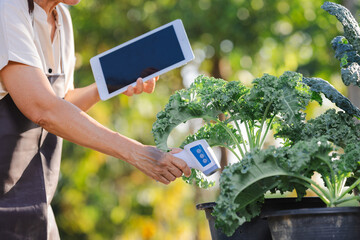 Farmer using measures the amount of moisture in the soil and connection with application on tablet...