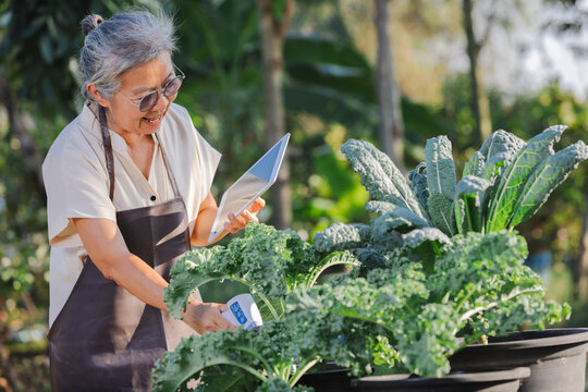 Farmer using measures the amount of moisture in the soil and connection with application on tablet to analysis helps in irrigation management and water control.