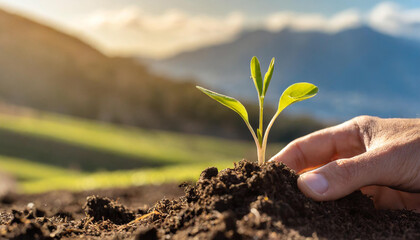 The close-up of a sprout in the soil with a human hand near it