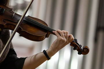 Woman's hand on violin strings - 713829396
