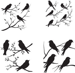 Set of Swallow on branch black silhouette on white background  