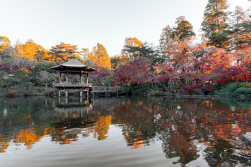 成田山公園の浮御堂と紅葉