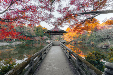 成田山公園の浮御堂と紅葉