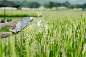 Smart farming uses technology to control planting, caring for  harvesting products in the farms of new generation of farmers. Modern agriculture can reduce labor and costs and produce quality products