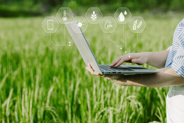 Smart farming uses technology to control planting, caring for  harvesting products in the farms of...
