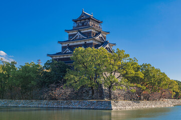 Obraz premium 広島城の天守