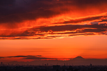 夕焼けに染まる層積雲と富士山