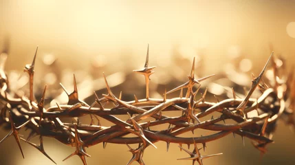 Foto op Plexiglas Good Friday, Passion of Jesus Christ. Crown of thorns. Christian holiday of Easter. Crucifixion, resurrection of Jesus Christ. Gospel, salvation. © Anoo