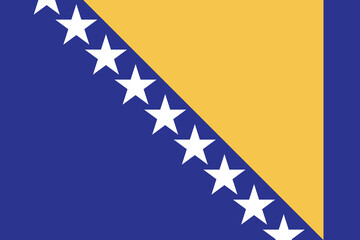 Bosnia and Herzegovina flag national emblem graphic element illustration template design. Flag of Bosnia and Herzegovina - vector illustration