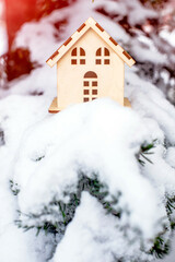 symbol of the house stands on a snow-covered fir branches
