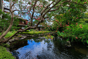 japanese garden with pond and Crape myrtle tree