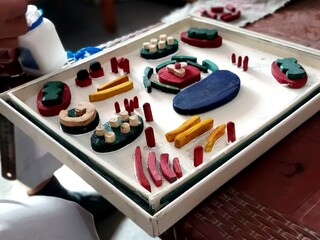 Plant Cell Model
